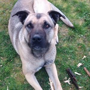 Meet your Posher, Chloe